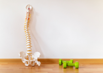 Scoliose traitement -Ostéopathe Paris 3 - Sellem Ostéo